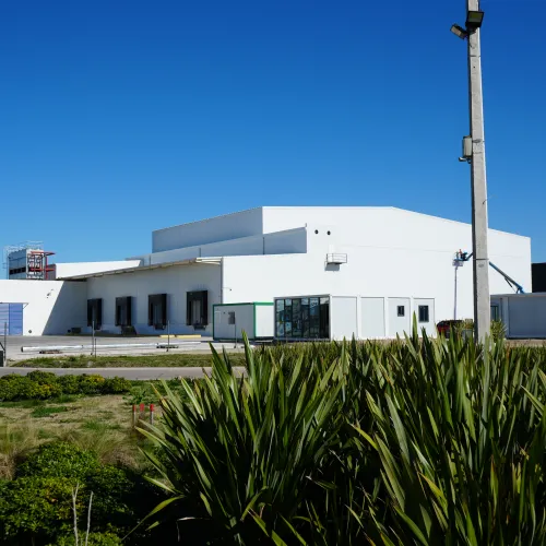 Arbiza